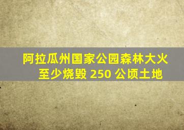 阿拉瓜州国家公园森林大火至少烧毁 250 公顷土地